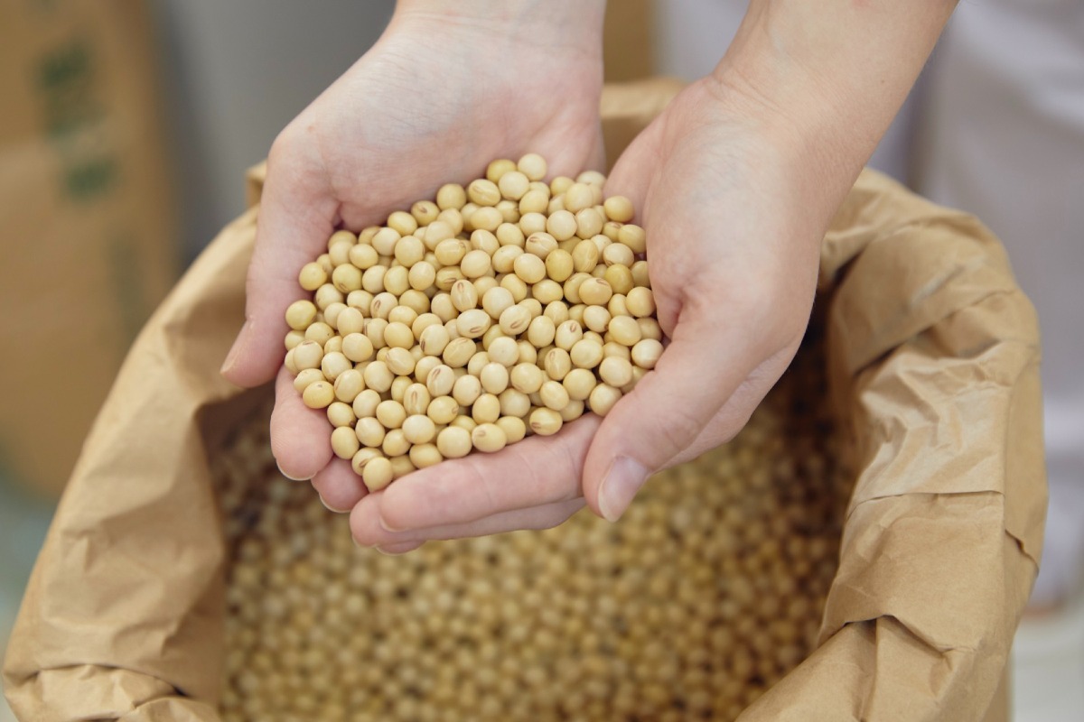 濃厚なめらか豆乳アイス　６個詰合せ 4