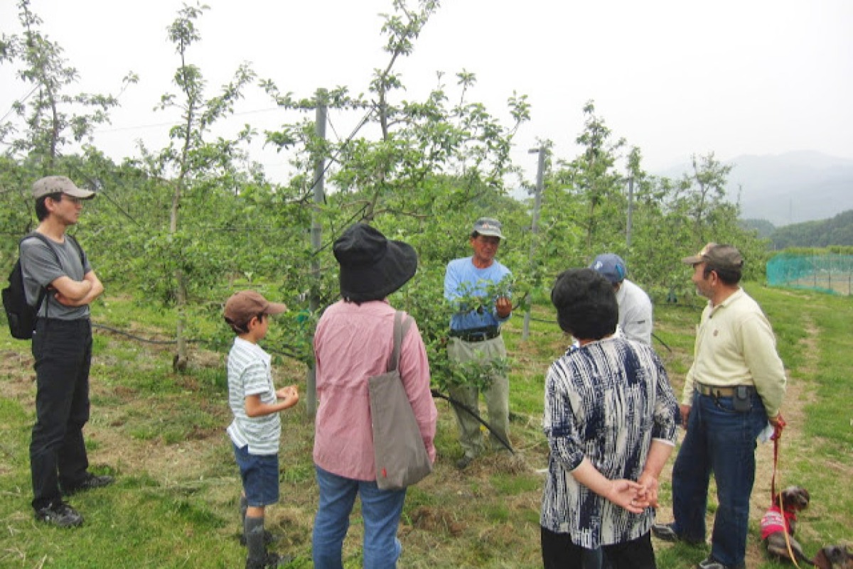 りんごやＳＵＤＡ　サンふじ　りんごジュース　6本入り 3