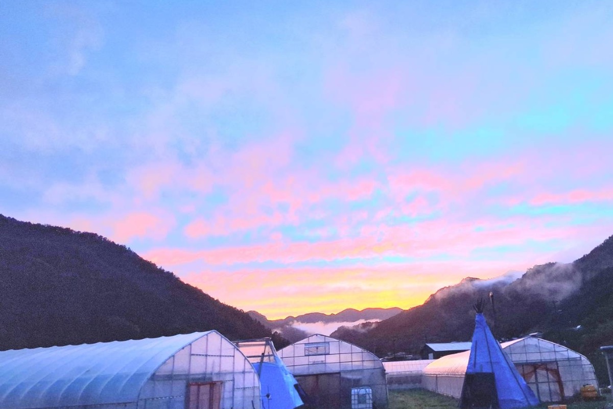 スウィートプリンセス 4