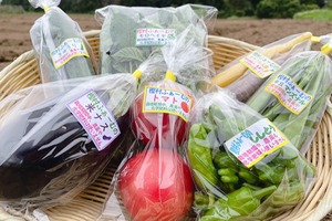 樫村ふぁーむ旬のお野菜BOX