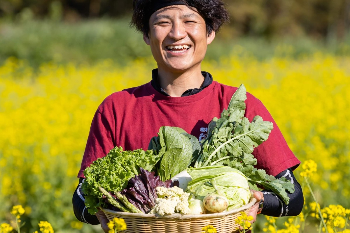 樫村ふぁーむ旬のお野菜BOX 3