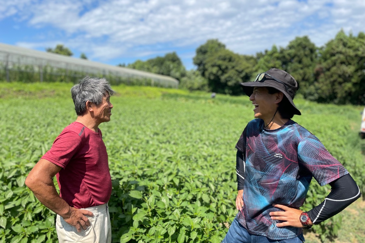 樫村ふぁーむ旬のお野菜BOX 4