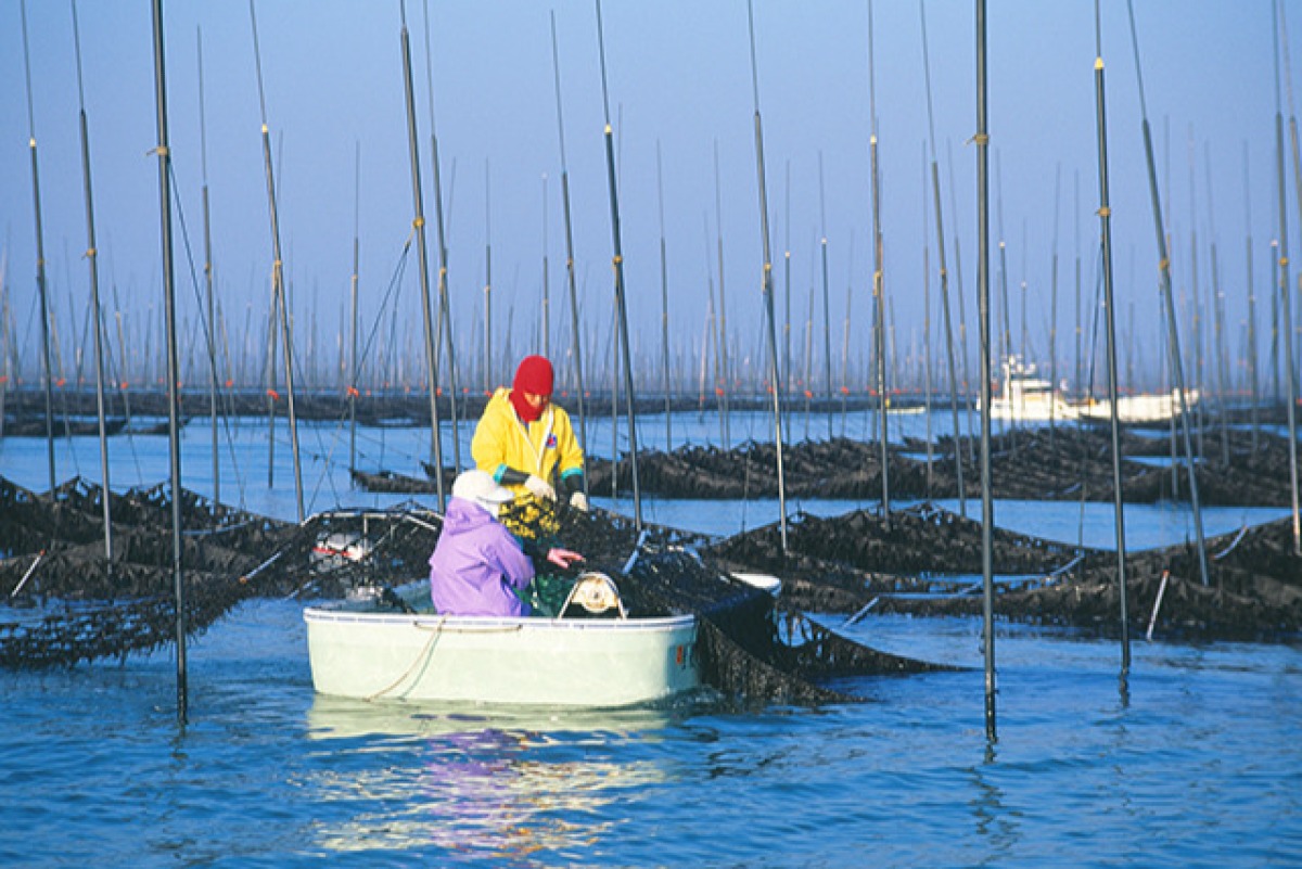 佐賀県有明海産味付 焼のり詰合せ 3