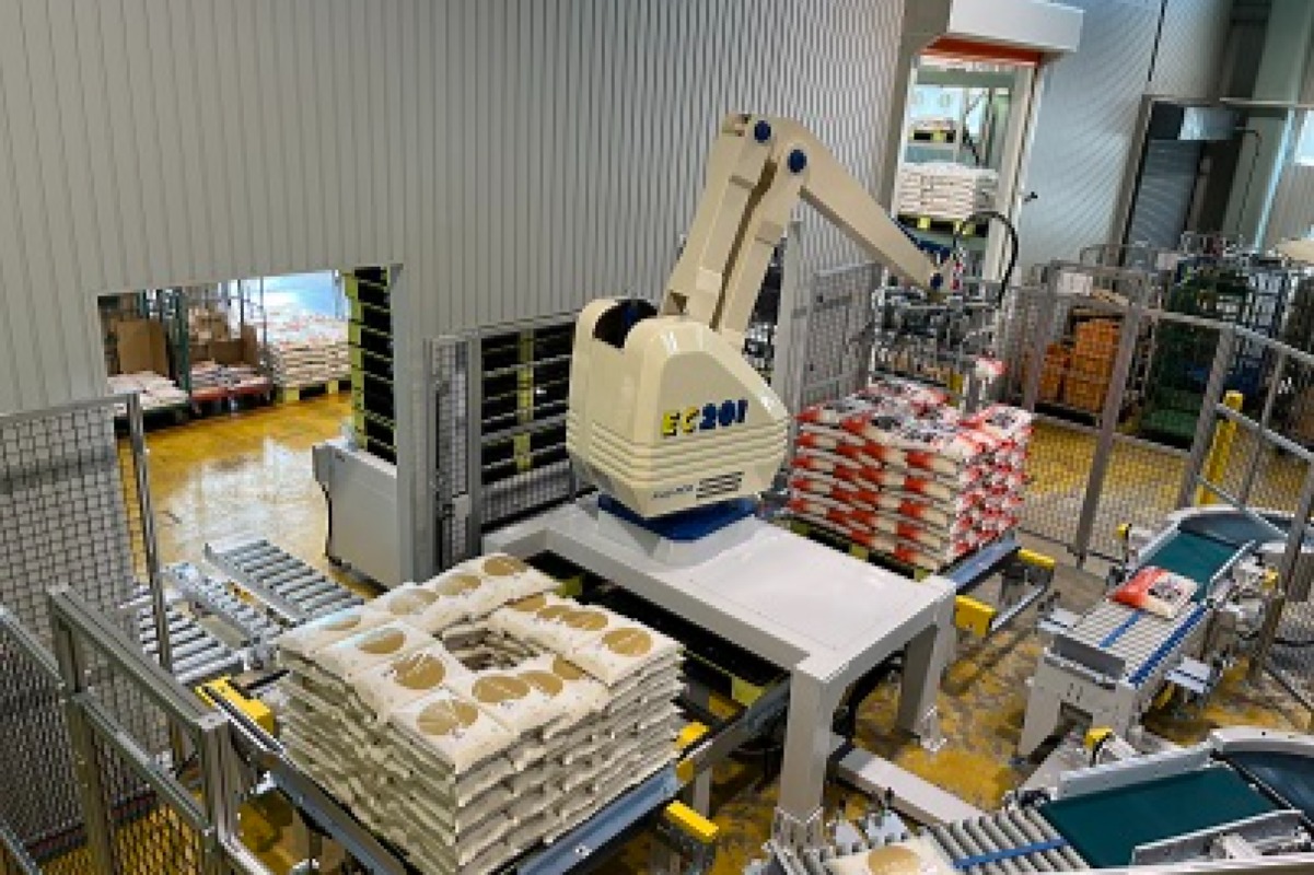 【さくら】福井県産いちほまれ 4