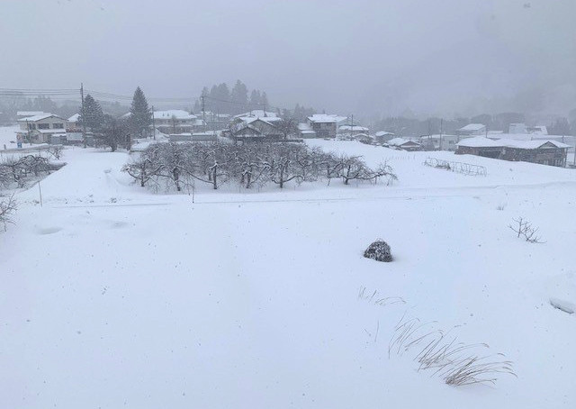 こんにゃくみそ漬と下仁田ねぎみそセット 4