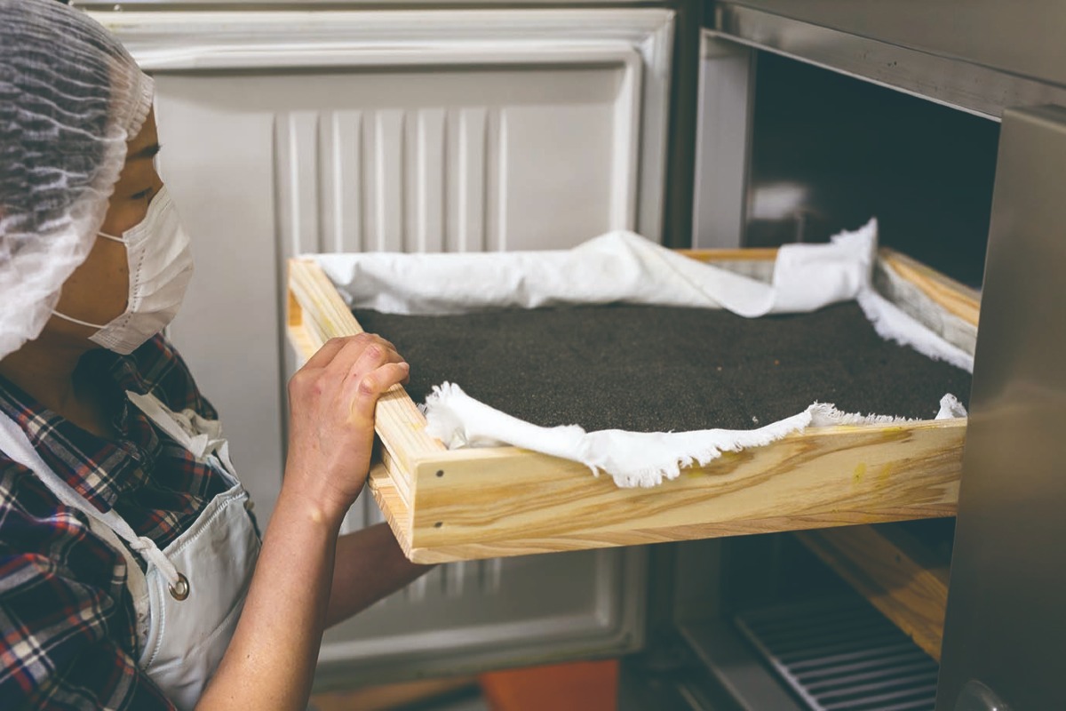 桜島灰干し楽チン詰合せ 3