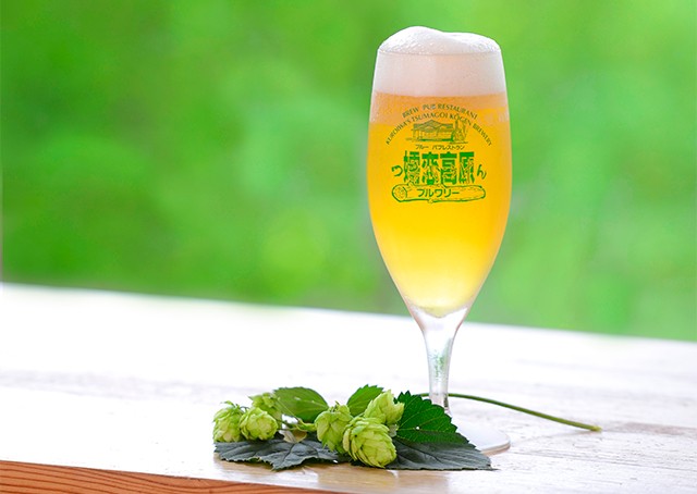 群馬県産麦芽のビール3本セット 2