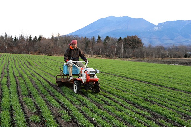 群馬県産麦芽のビール3本セット 3