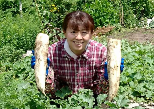 秋田のばっちゃんのしそ漬物ミニサイズ5種 3