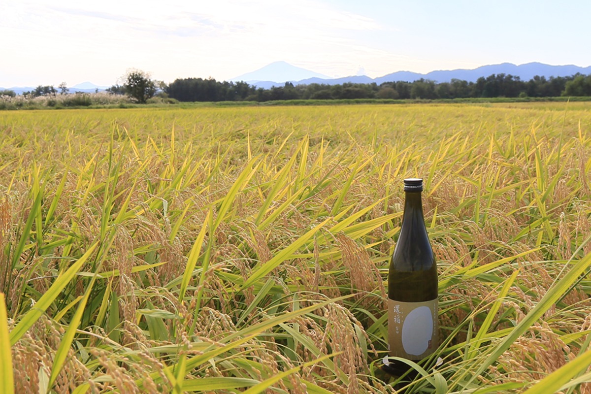 爛漫 純米大吟醸 環稲百田720ml 2