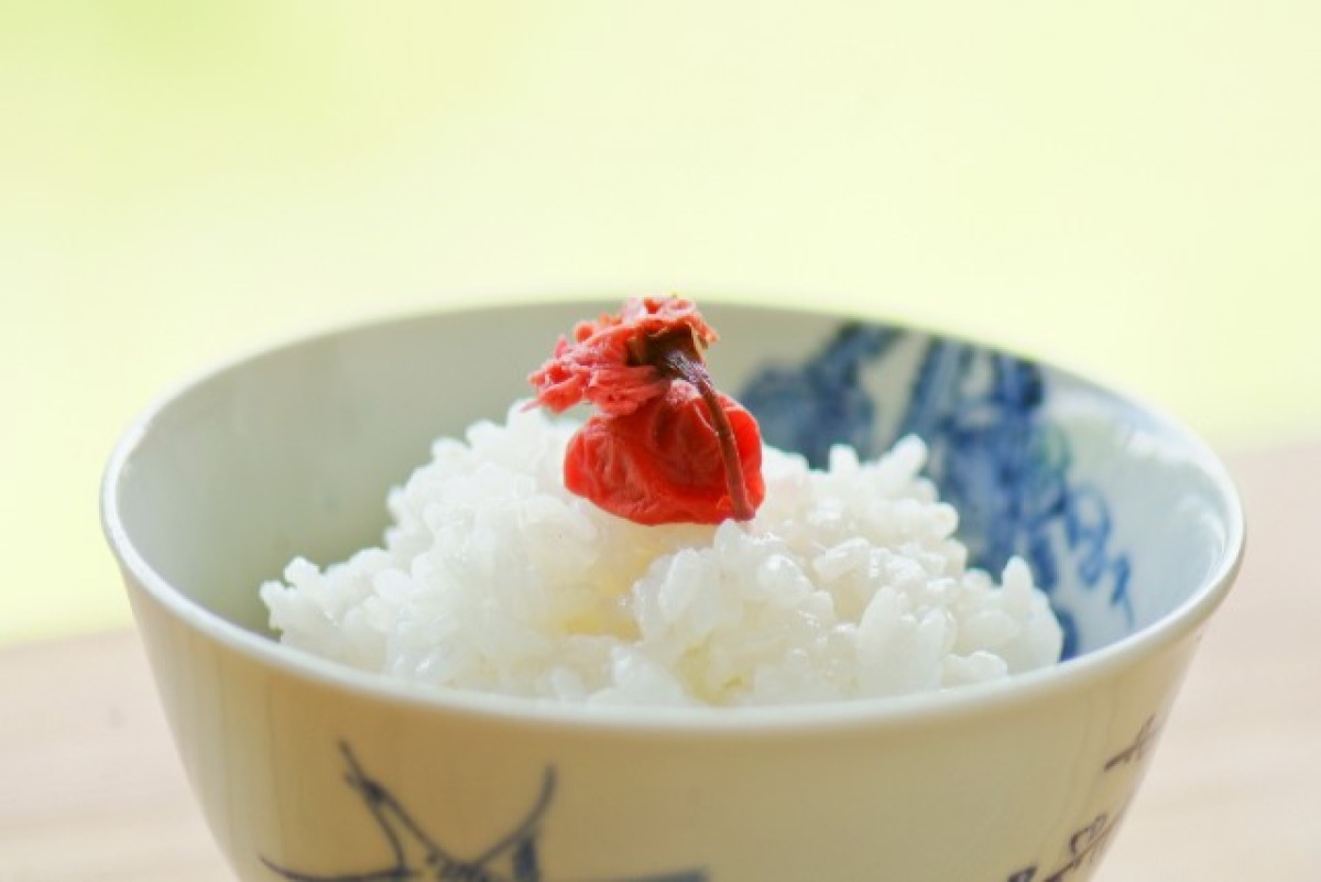 王隠堂農園　桜梅干し 2