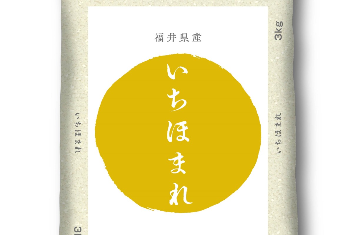 【わかたけ】福井県産いちほまれ