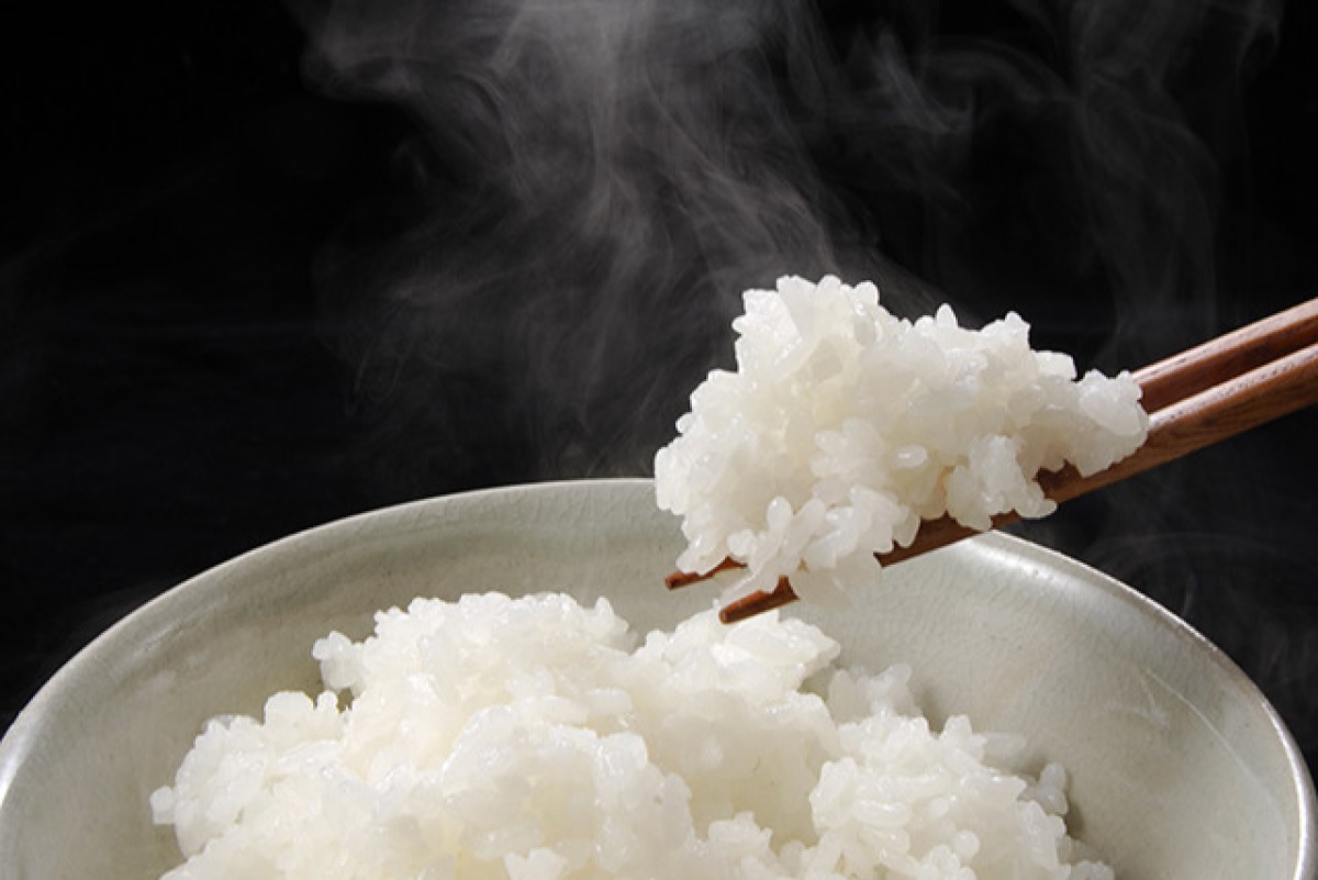 【わかたけ】福井県産いちほまれ 2