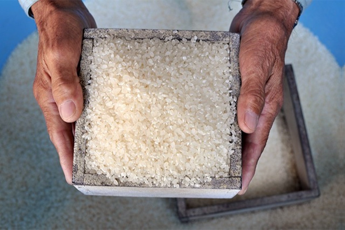 小豆島コシヒカリ100%「安田の郷」 4