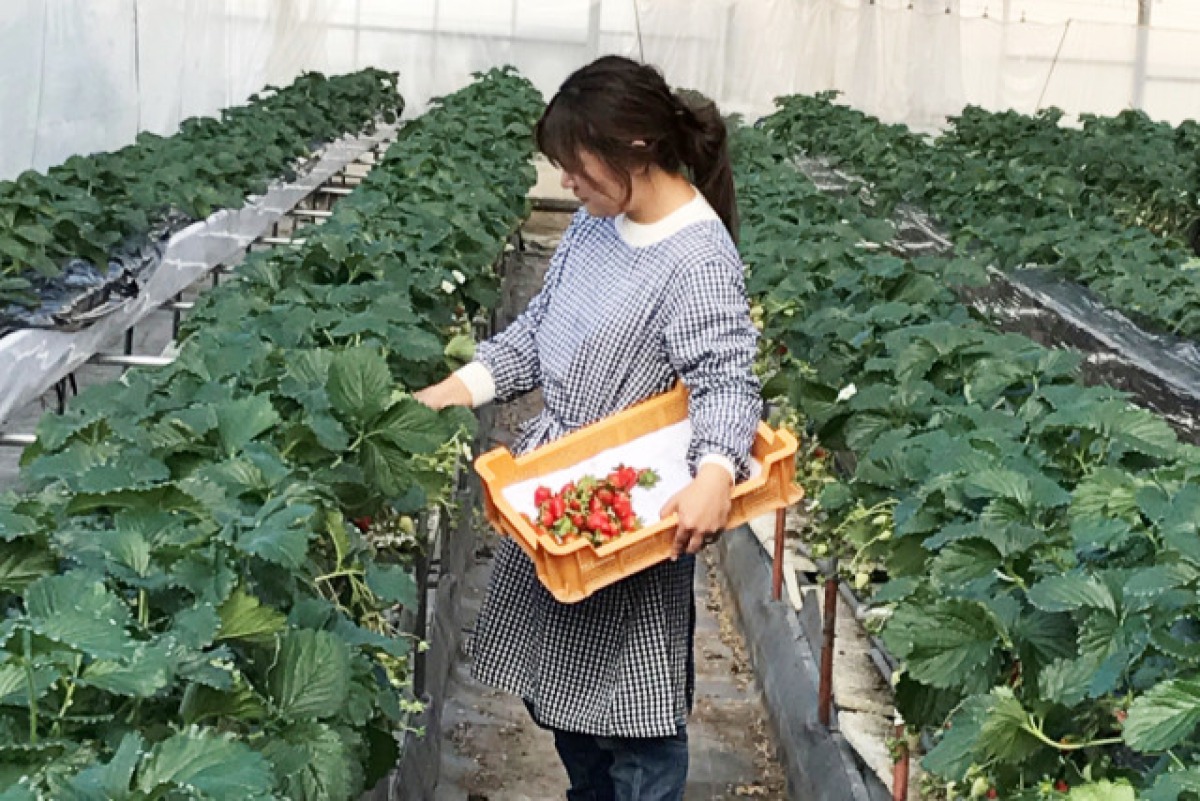 古都のあわ300ml×2本 4