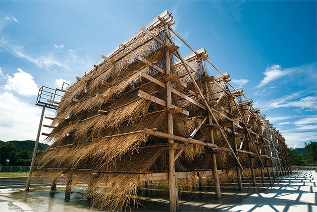 されど塩藻塩とみきゃんの塩 各種詰め合わせ 3