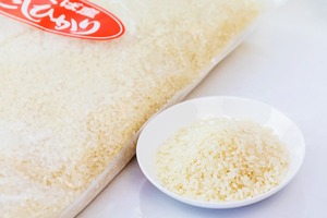 【わかたけ】茨城県産コシヒカリ