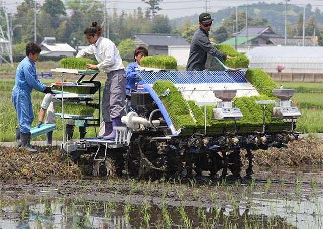 たけやまのお米 3
