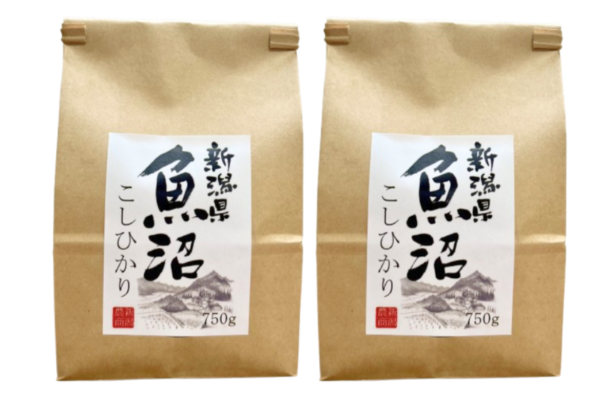 【さくら】魚沼産コシヒカリ