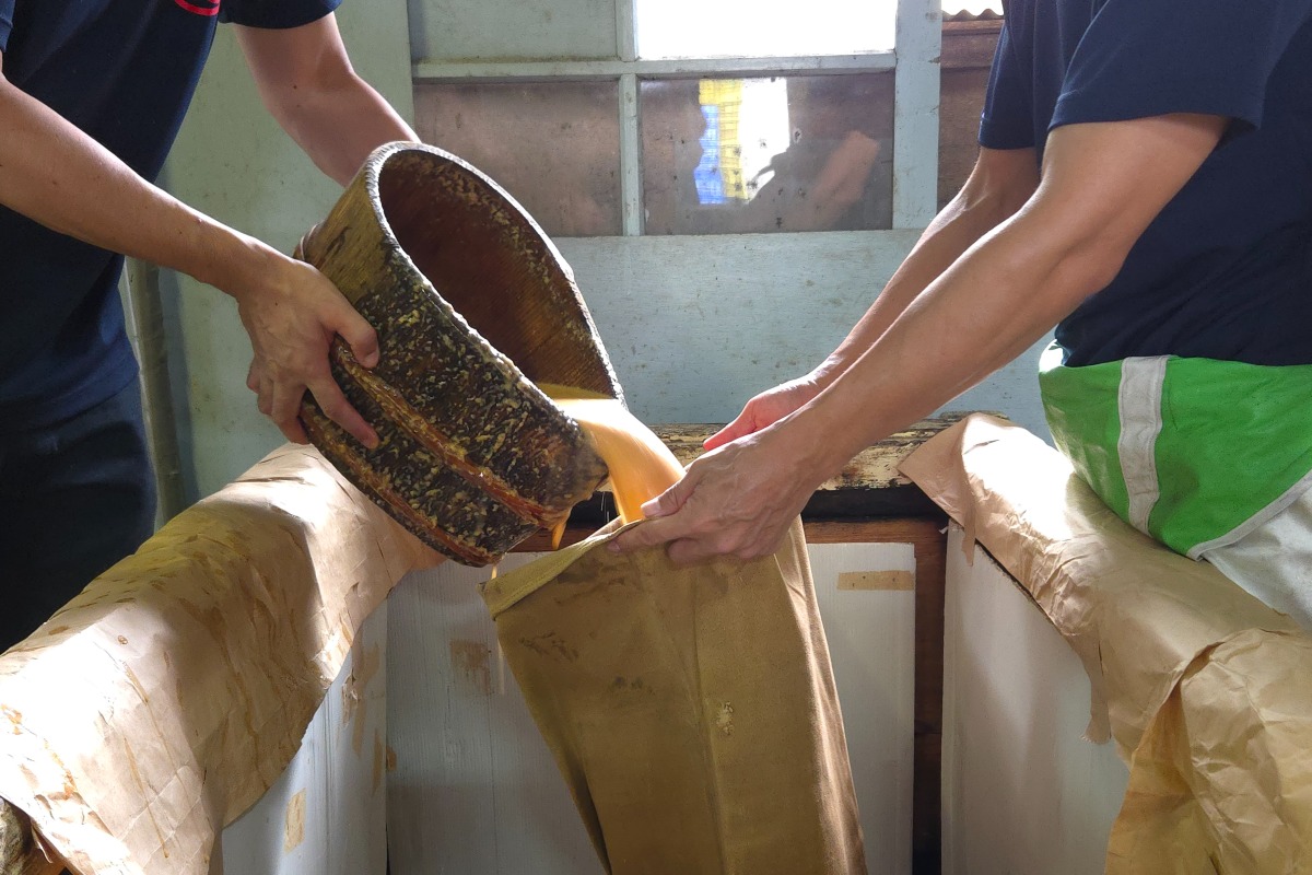 もろみたっぷり焼肉のたれ３本セット 3