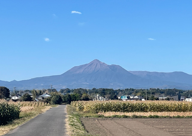 宮崎こだわりカレーとシチューセット 4
