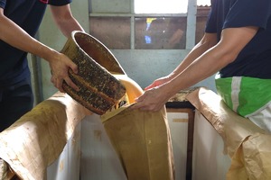 愛媛・宇和島宮居醤油店味比べ5本セット