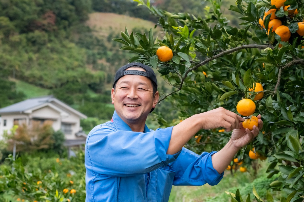 無茶々園ジュースセット720㎖/3本 3