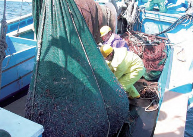 ピロール米糠の鯖へしこ 4