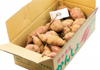 さつまいもお楽しみセット