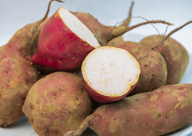 さつまいもお楽しみセット 2