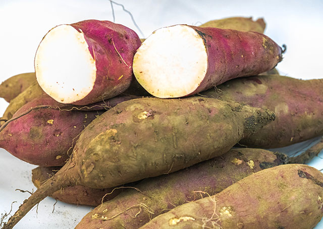 【わかたけ】紅はるか5㎏セット 2