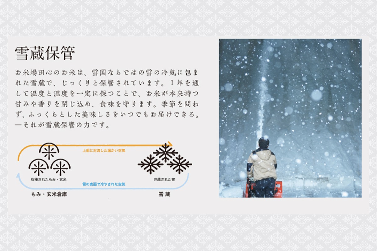 滋賀県産みずかがみ 3