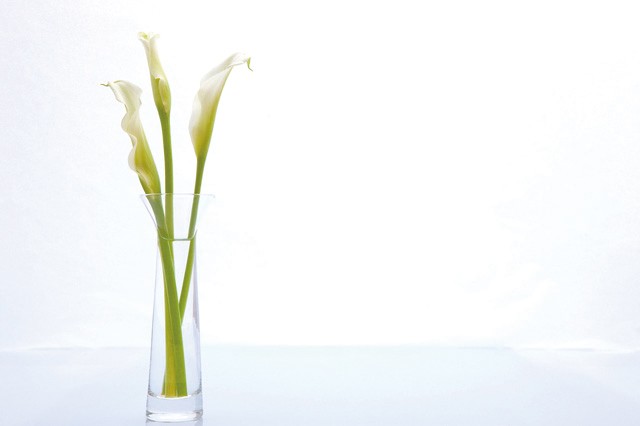 恋人のカラー 2