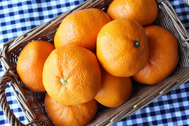 こだわりみかん・かんきつ 2