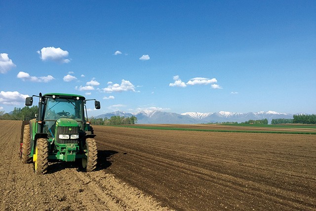 なまらウマい越冬野菜セット 2