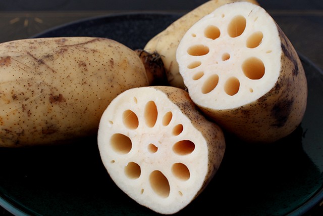 【あさぎ】川端さんちの加賀れんこん、加賀れんこんちっぷ 2