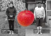 杉山農園のりんごとりんごジュースのセットのカードイメージ