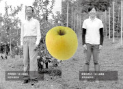 幸せの黄色いりんごとジュースのセットのカードイメージ