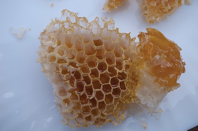 「八ヶ岳高原はちみつ」3本セット 2