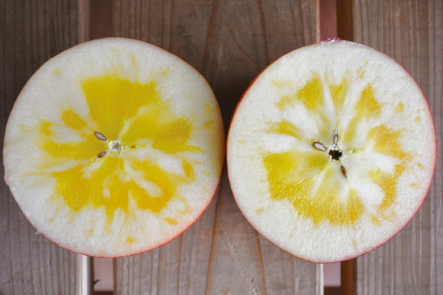 陸前高田産  厳選りんご６ヶ入ギフト 2