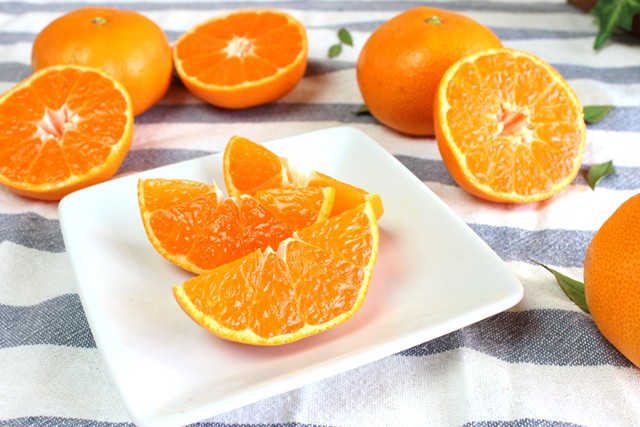 佐木島の旬の柑橘 2