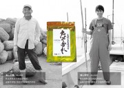 【やまぶき】熊本有明海産一番摘み海苔