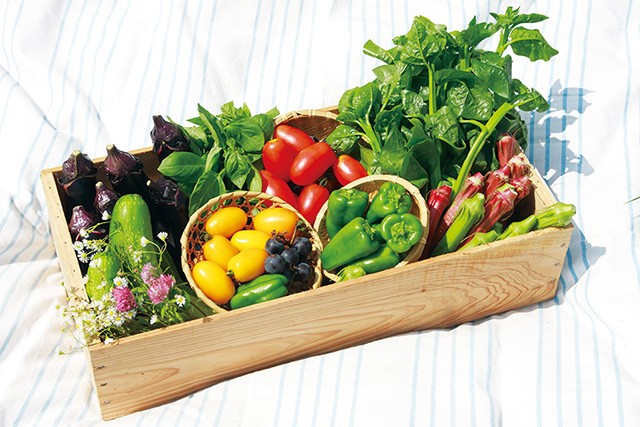 小鮒農園の里山野菜セット 2