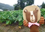 みんなのアイス