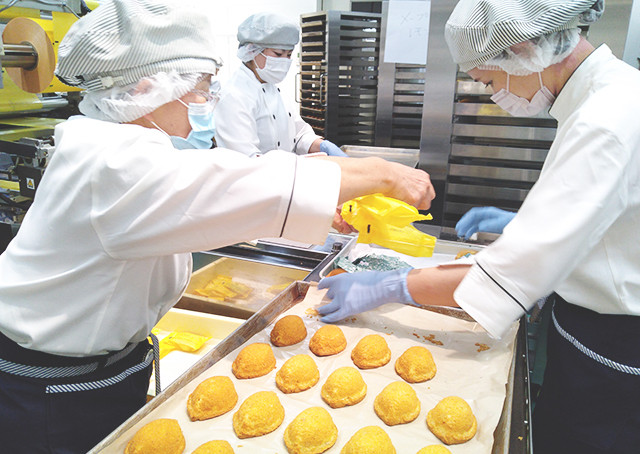 【やまぶき】瀬戸田レモンケーキ島ごころ 3