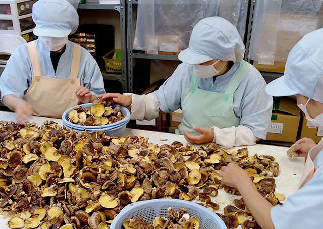 椎茸問屋の調味料セット 3