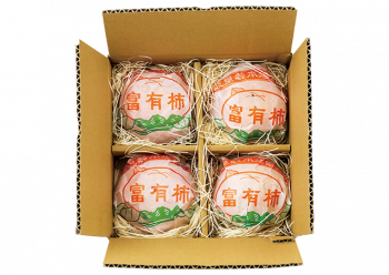 生柿(富有柿)