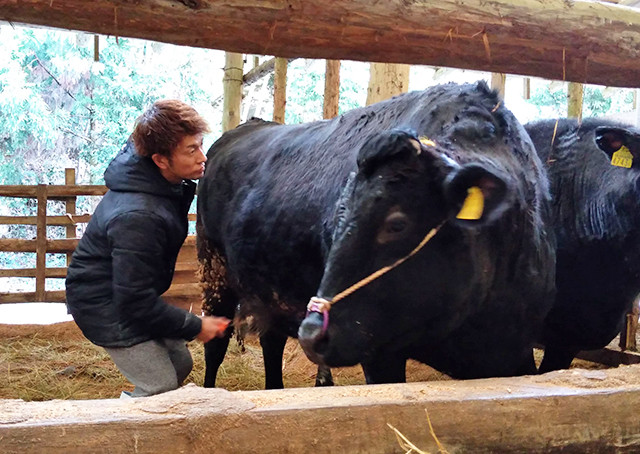 【ふじ】不知火牛三昧 3