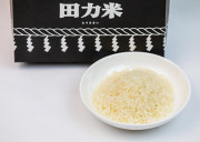 田力米 愛媛ならではのお米セット