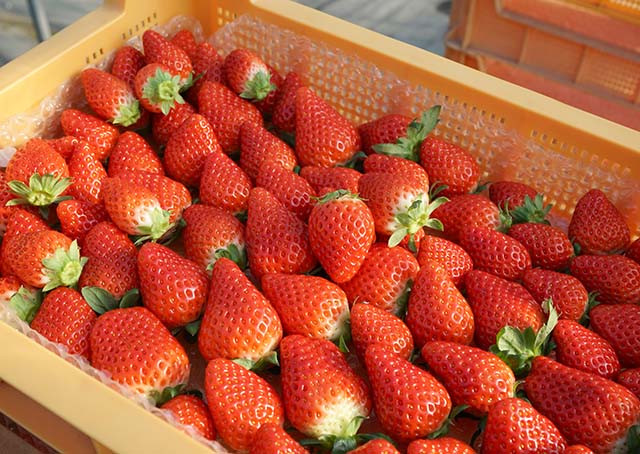 いちご専業農家の贅沢ジャムセット 4